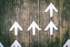 Arrows on wooden wall